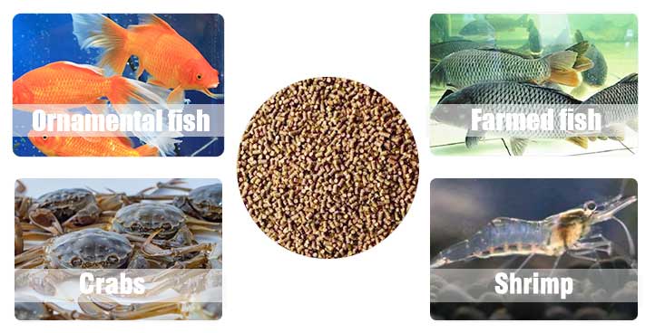 fish feed pellet